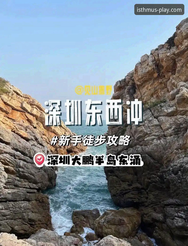 半岛体育最新资讯 新手小白亲测:半岛体育平台注册登录到APP下载全流程实战经验